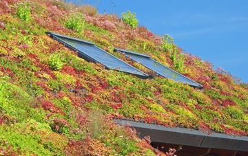 Cloughfold living roof systems